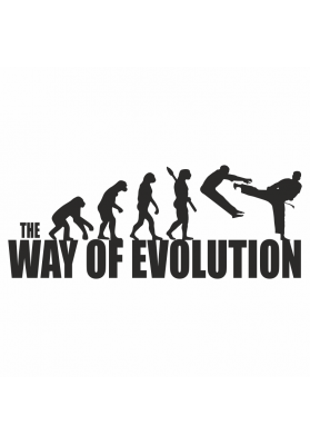 Taza Evolution Karate