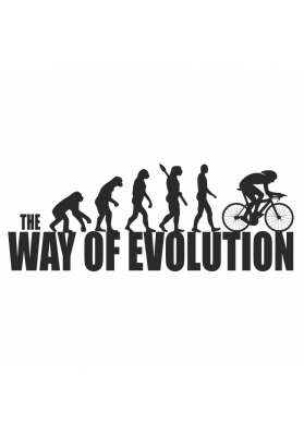 Taza Evolution Bici Carretera