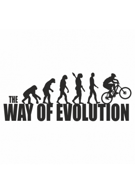 Taza Evolution Bici Montaña