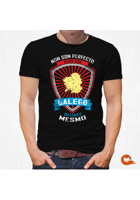 Camiseta hombre  Non son perfecto, pero son galego